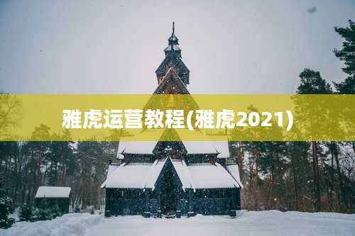 雅虎运营教程(雅虎2021)