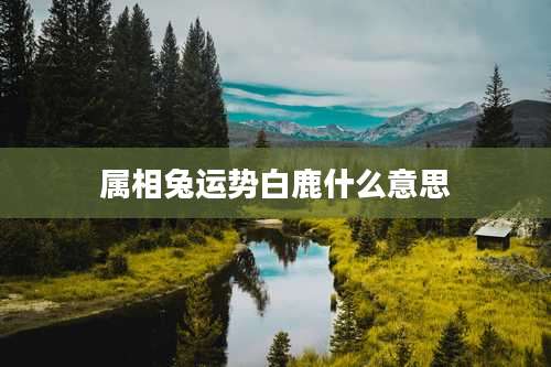 属相兔运势白鹿什么意思