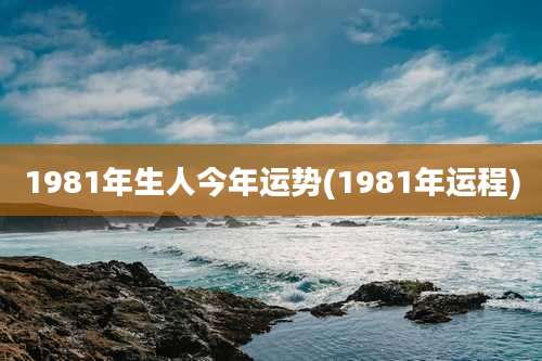 1981年生人今年运势(1981年运程)