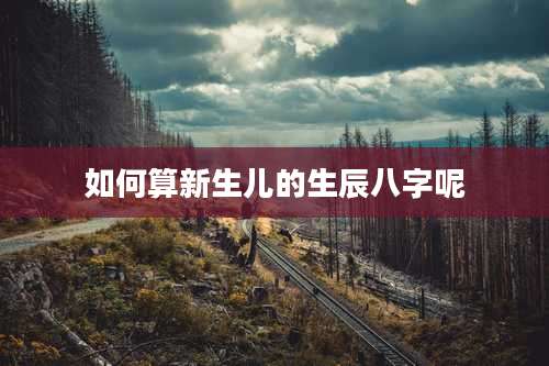 如何算新生儿的生辰八字呢
