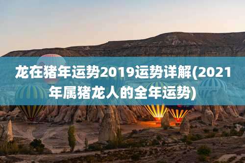 龙在猪年运势2019运势详解(2021年属猪龙人的全年运势)
