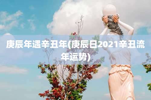 庚辰年遇辛丑年(庚辰日2021辛丑流年运势)