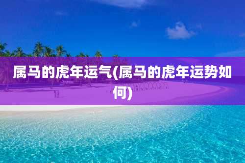 属马的虎年运气(属马的虎年运势如何)