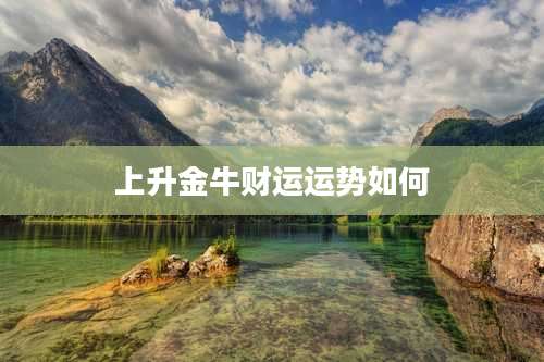 上升金牛财运运势如何