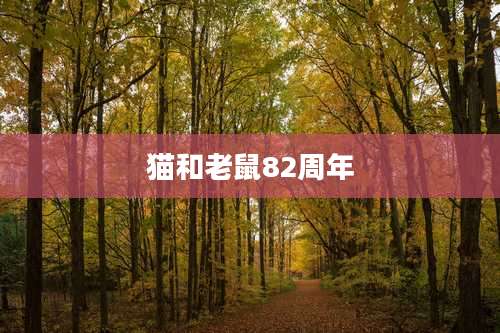 猫和老鼠82周年