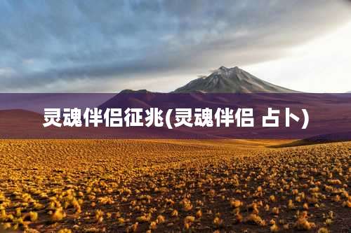 灵魂伴侣征兆(灵魂伴侣 占卜)