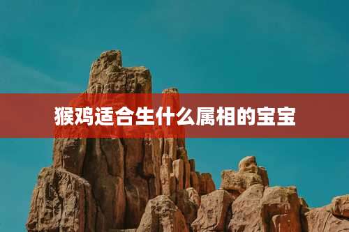 猴鸡适合生什么属相的宝宝