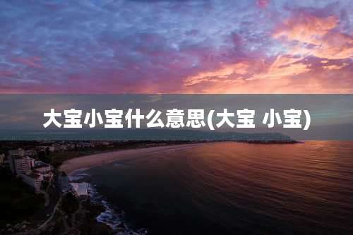 大宝小宝什么意思(大宝 小宝)