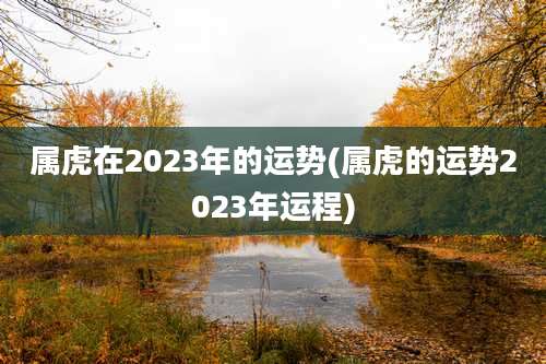 属虎在2023年的运势(属虎的运势2023年运程)