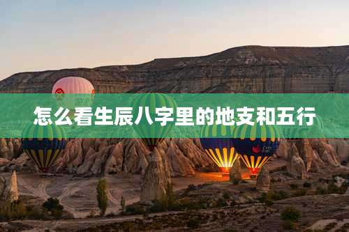 怎么看生辰八字里的地支和五行