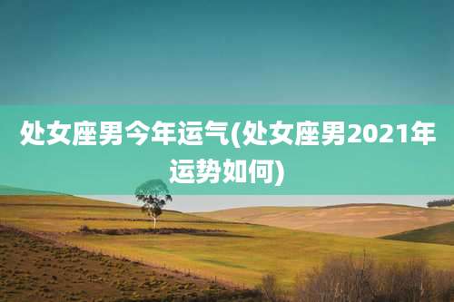 处女座男今年运气(处女座男2021年运势如何)