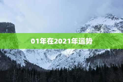 01年在2021年运势