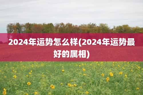 2024年运势怎么样(2024年运势最好的属相)