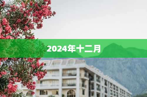 2024年十二月