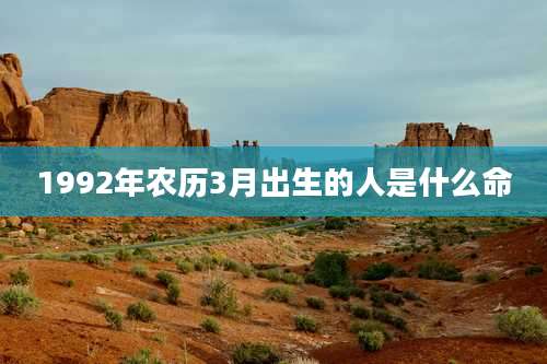 1992年农历3月出生的人是什么命
