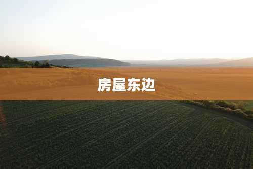 房屋东边