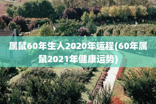 属鼠60年生人2020年运程(60年属鼠2021年健康运势)