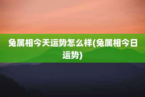 兔属相今天运势怎么样(兔属相今日运势)