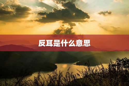 反耳是什么意思