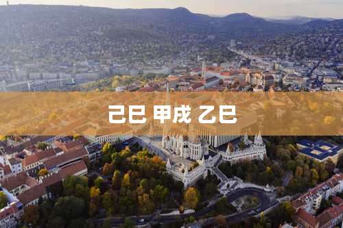 己巳 甲戌 乙巳