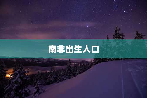南非出生人口