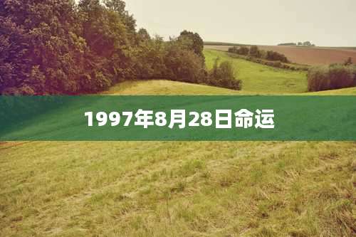 1997年8月28日命运