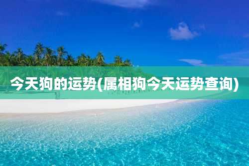 今天狗的运势(属相狗今天运势查询)