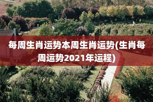 每周生肖运势本周生肖运势(生肖每周运势2021年运程)