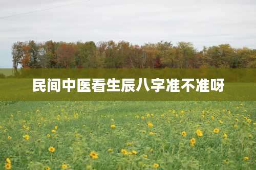 民间中医看生辰八字准不准呀