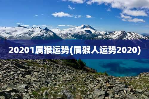 20201属猴运势(属猴人运势2020)