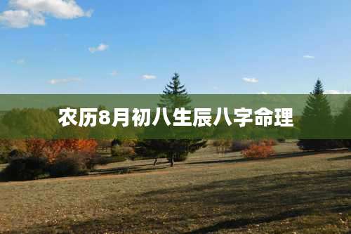 农历8月初八生辰八字命理