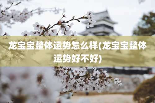 龙宝宝整体运势怎么样(龙宝宝整体运势好不好)