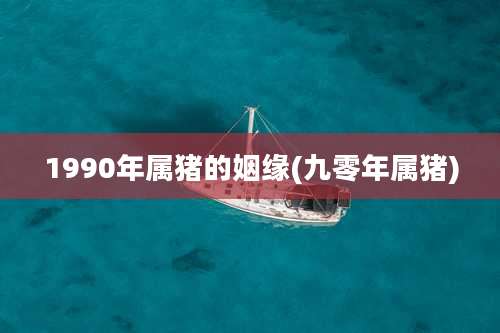 1990年属猪的姻缘(九零年属猪)
