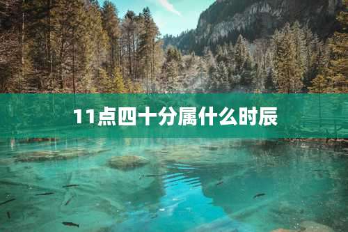 11点四十分属什么时辰