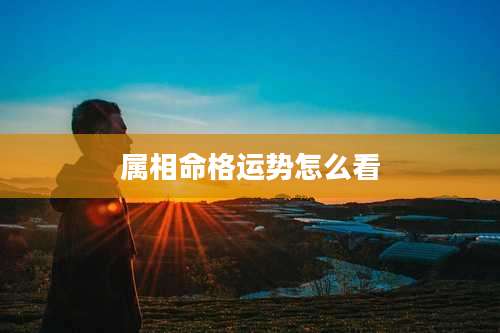 属相命格运势怎么看