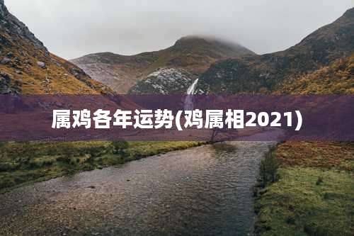 属鸡各年运势(鸡属相2021)
