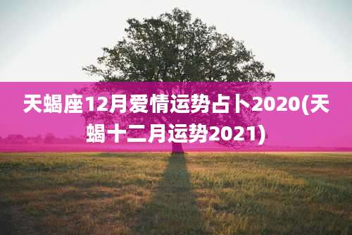 天蝎座12月爱情运势占卜2020(天蝎十二月运势2021)