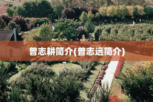 曾志耕简介(曾志远简介)