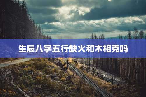 生辰八字五行缺火和木相克吗