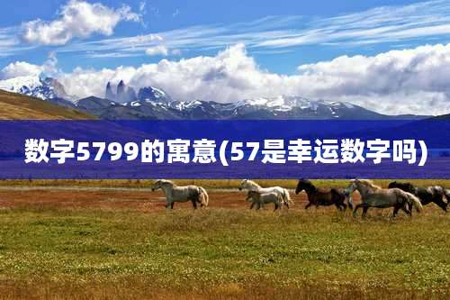 数字5799的寓意(57是幸运数字吗)