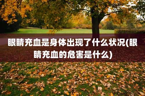 眼睛充血是身体出现了什么状况(眼睛充血的危害是什么)