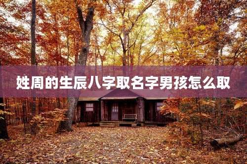 姓周的生辰八字取名字男孩怎么取