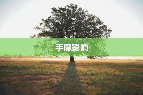 手隐影响