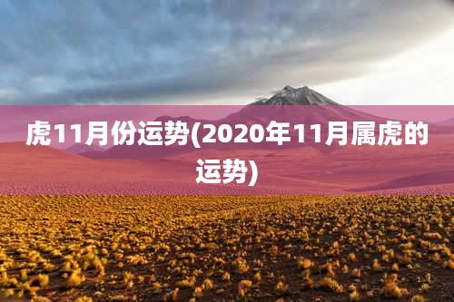 虎11月份运势(2020年11月属虎的运势)