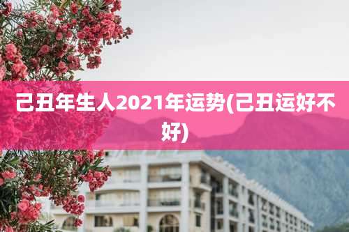 己丑年生人2021年运势(己丑运好不好)