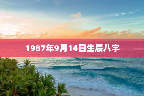 1987年9月14日生辰八字