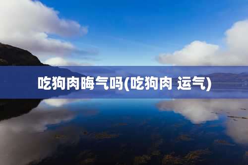 吃狗肉晦气吗(吃狗肉 运气)
