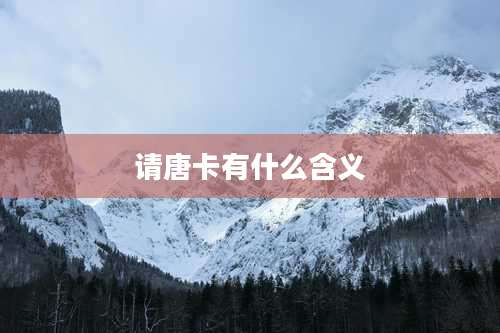 请唐卡有什么含义