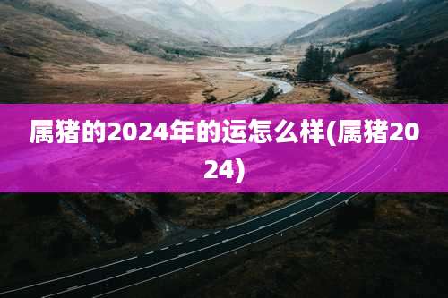 属猪的2024年的运怎么样(属猪2024)