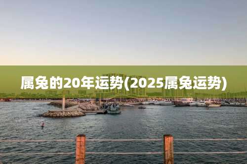 属兔的20年运势(2025属兔运势)